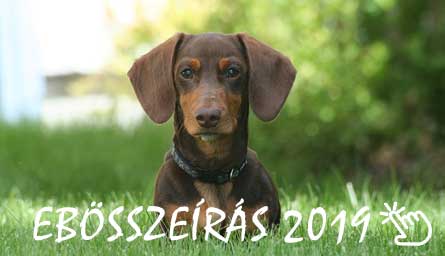 Ebösszeírás