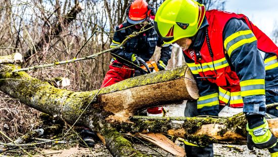 Cikk kép - Lakossági tájékoztató - szabadtéri tűzgyújtás és a viharkárok okozta veszélyek